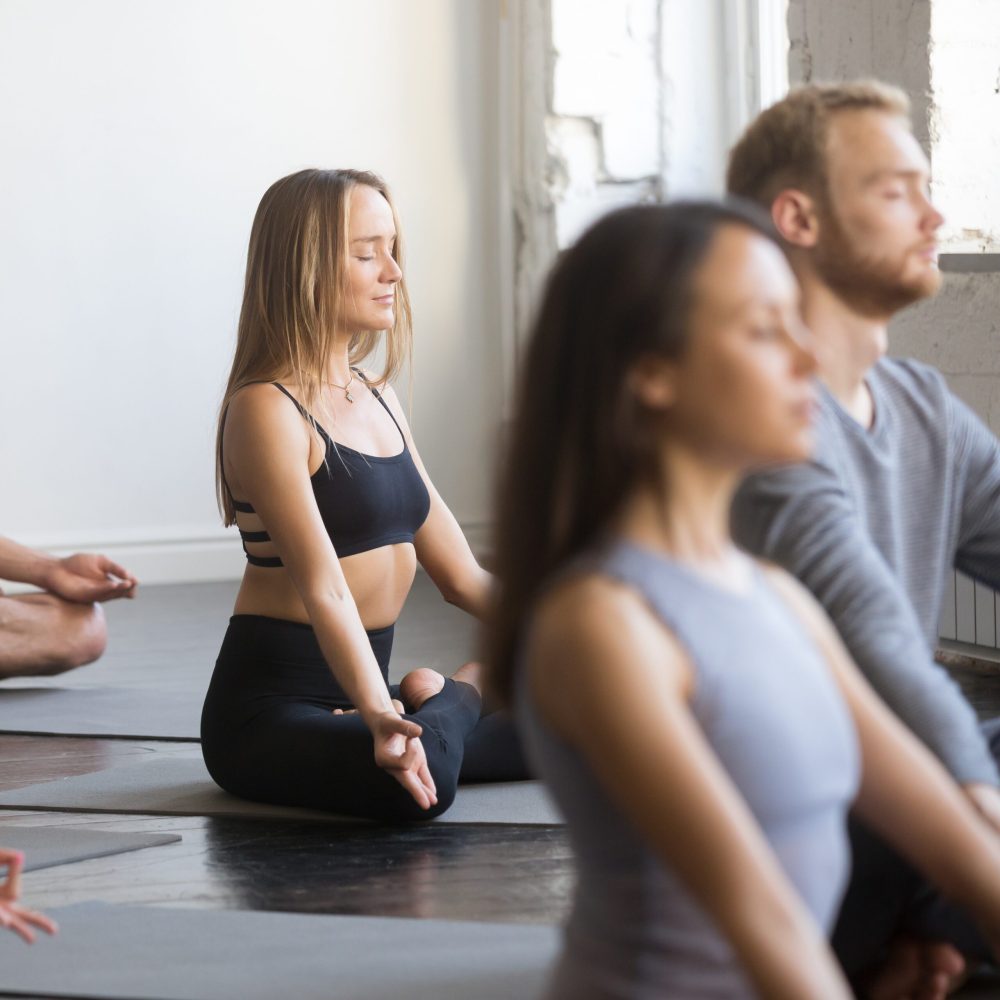 Group of young sporty people sitting in Padmasana pose